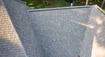 What a Professional Roof Inspection Covers