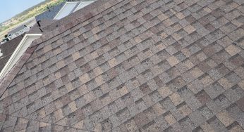 What Causes Discoloration in Asphalt Shingles?